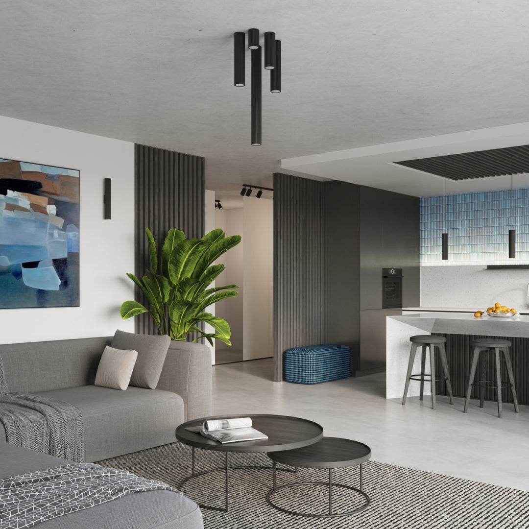 Luminaire Plafonnier noir dans un intérieur contemporain