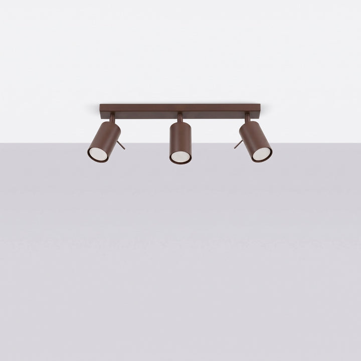 Luminaire Plafonnier marron éteinte, vue rapprochée