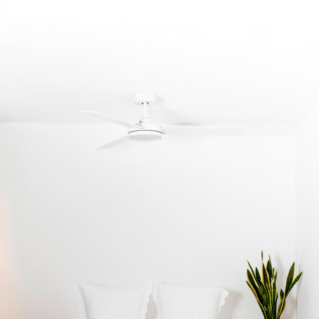 Ventilateur de plafond Barth en situation