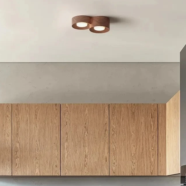 Lámpara de tubo de resina de estilo japonés de doble cabeza, lámpara de techo para pasillo, sala de estar, sin lámpara principal, lámpara de balcón