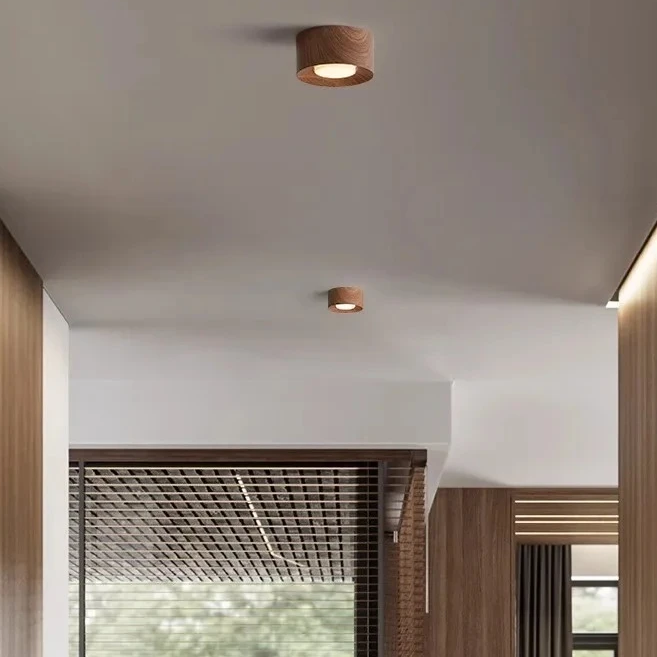 Lámpara de tubo de resina de estilo japonés de doble cabeza, lámpara de techo para pasillo, sala de estar, sin lámpara principal, lámpara de balcón