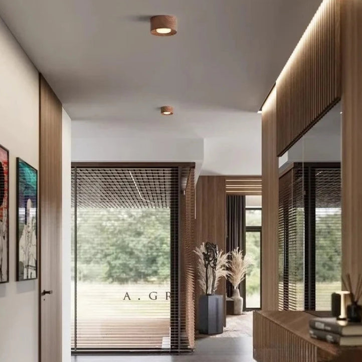 Lámpara de tubo de resina de estilo japonés de doble cabeza, lámpara de techo para pasillo, sala de estar, sin lámpara principal, lámpara de balcón