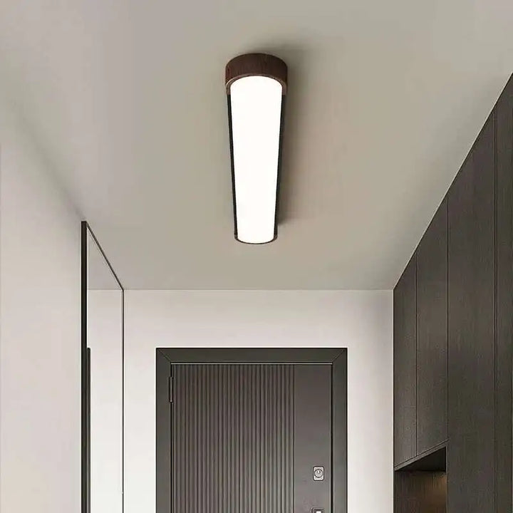 Lámpara de araña LED moderna para entrada, pasillo, porche, techo, guardarropa, balcón, pasillo, decoración interior del hogar
