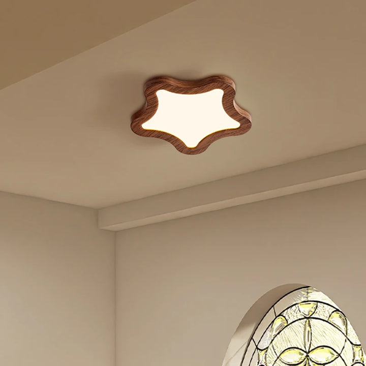 Lámpara de techo moderna de color nogal para balcón, apliques acrílicos con forma de estrella, flor y nube, para pasillo, entrada, escalera, porche