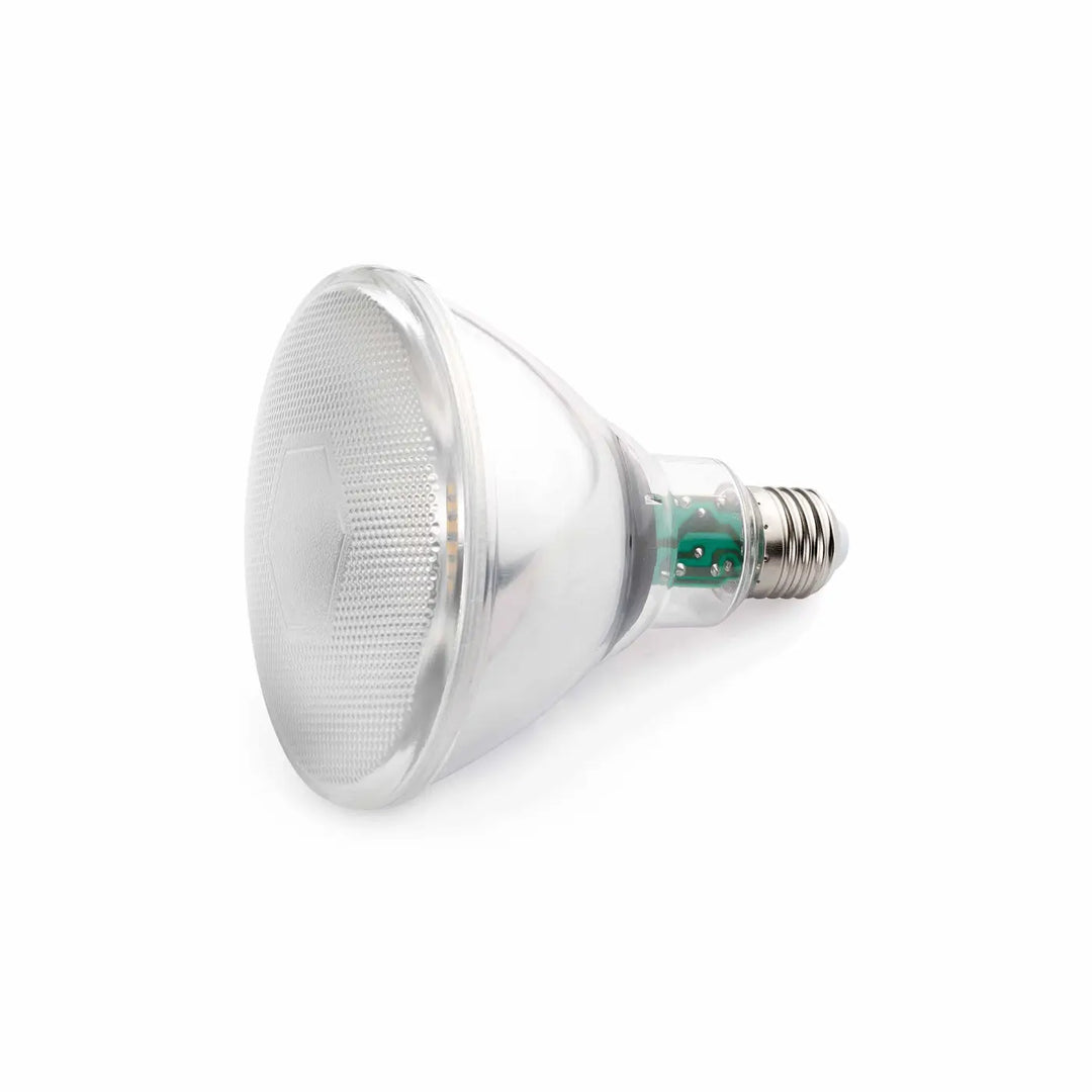 Ampoule LED E27 PAR de Faro Barcelona, PAR38 10 W 4000 K 60°