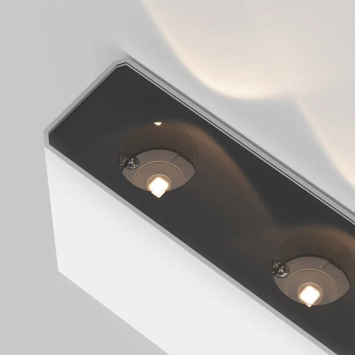 Applique extérieure led show avec double diffusion, boîtier noir et blanc, deux ampoules led blanc chaud encastrées
