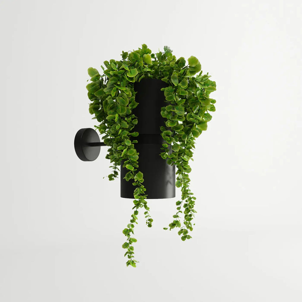 Applique murale kukkia noir en cylindre avec feuillage tombant pour jardins suspendus design exceptionnel