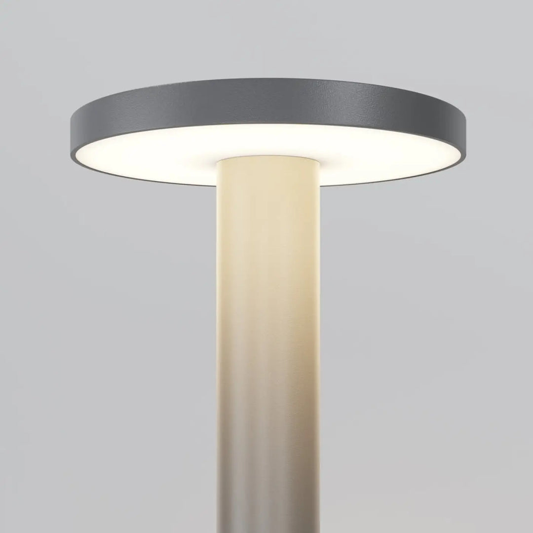 Borne extérieure led champignon avec abat-jour circulaire gris anthracite en acier gris anthracite indice ip65