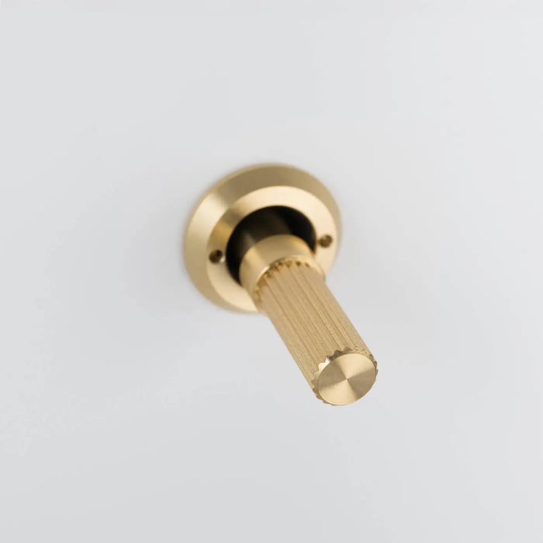 Détail d'un interrupteur à levier à gravure alignée, finitions blanc et laiton #couleur_dor