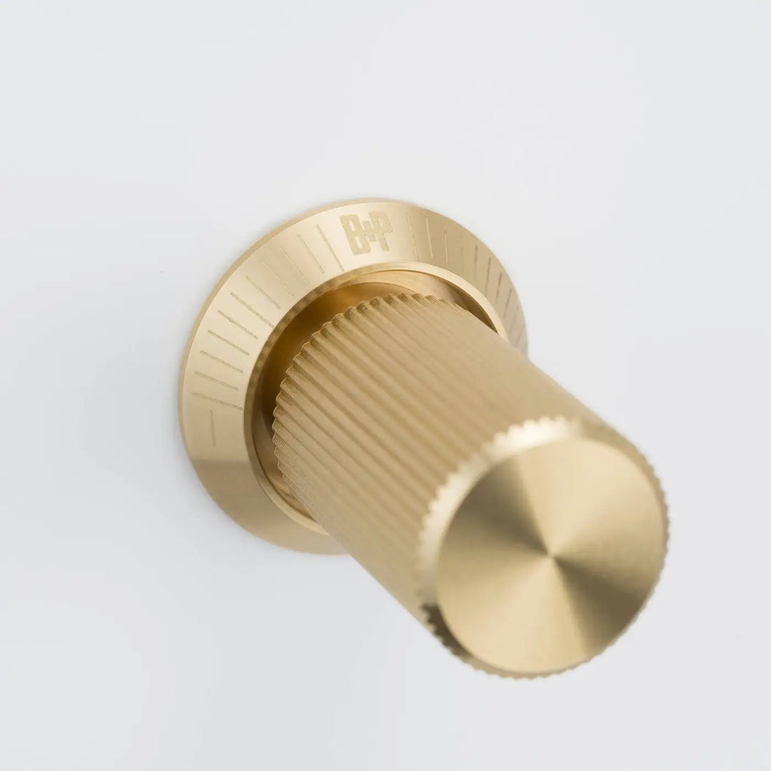 Détail d'un variateur à gravure alignée, finitions blanc et laiton #couleur_dor