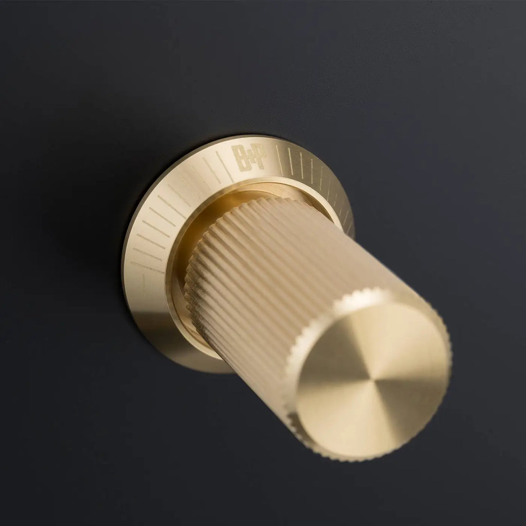 Détail d'un variateur à gravure alignée, finitions noir et laiton #couleur_dor
