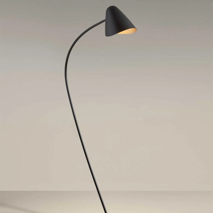 Vue d'ensemble du lampadaire Organic en acier noir