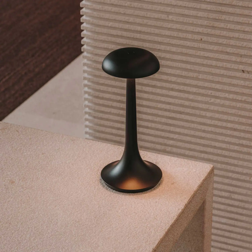 Lampe Portobello noire dans un intérieur #couleur_noir