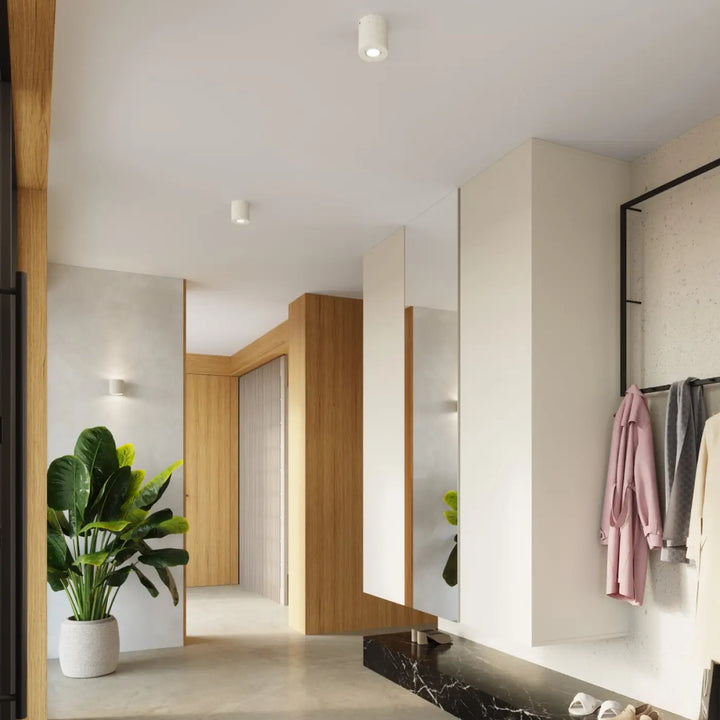 Plafonnier orbis beige avec forme moderne et accent décoratif unique, pot en céramique blanc contenant plante verte luxuriante