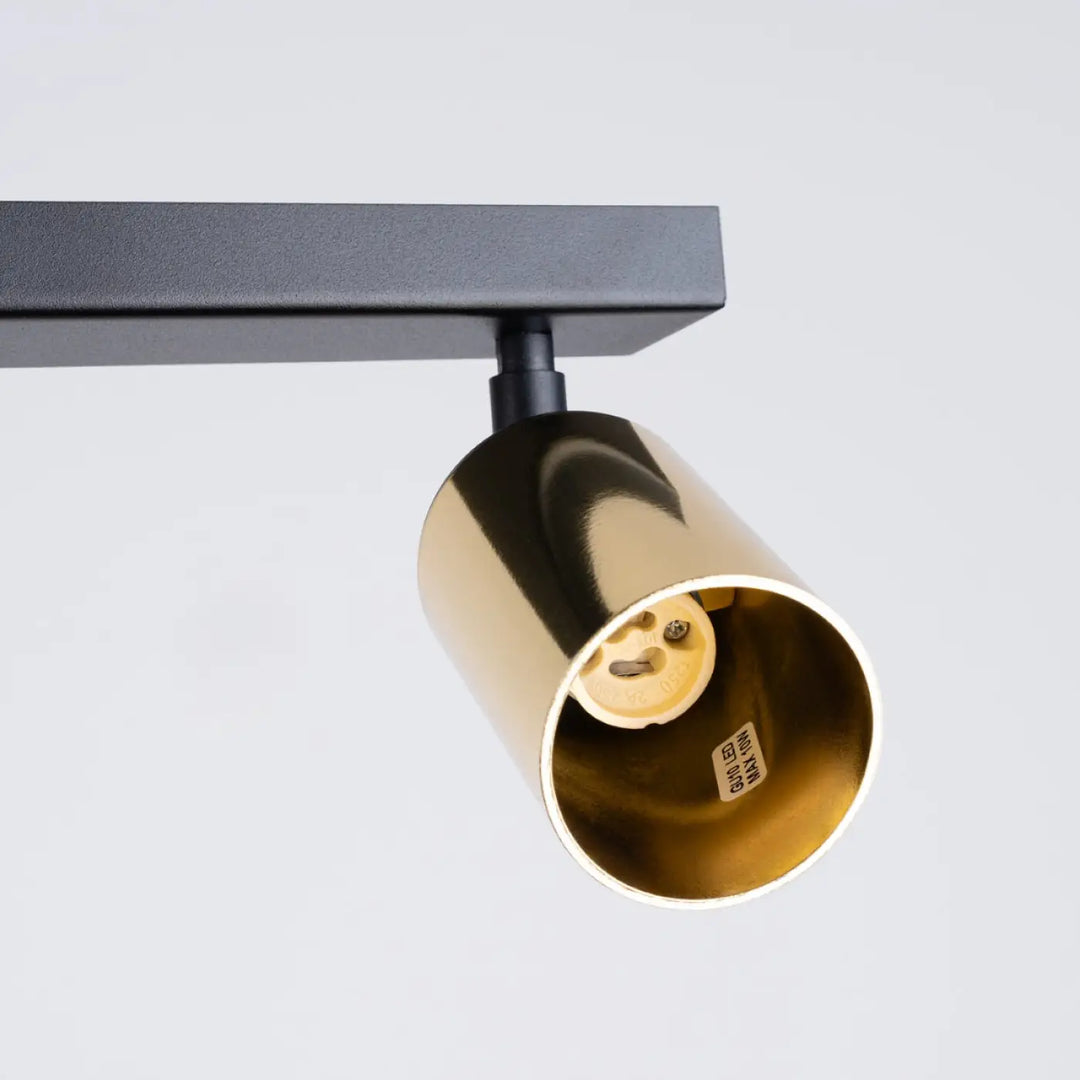Plafonnier winx 2 avec lampe winx allie design cylindrique doré et support noir mat pour éclairage moderne