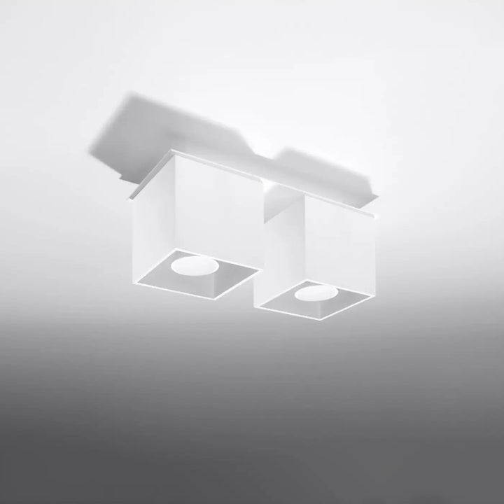 Luminaire plafonnier quad 2 blanc avec deux ampoules led circulaires montées individuellement pour magnifique décoration moderne