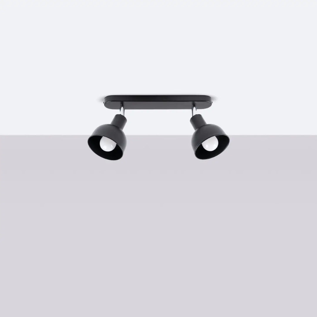 Luminaire plafonnier elba 2 noir avec finition mate noire et spots réglables pour minimalisme combiné et éléments subtils