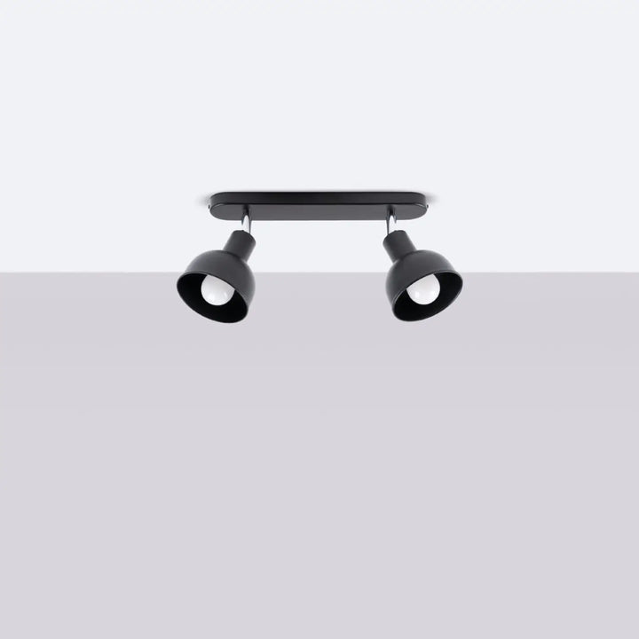 Luminaire plafonnier elba 2 noir avec finition mate noire et spots réglables pour minimalisme combiné et éléments subtils