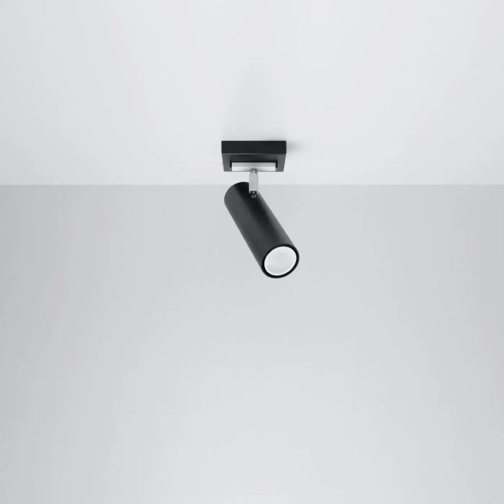 Luminaire plafonnier direzione 1 noir avec spot cylindrique mat et accent argenté pour un plafond minimaliste élégant