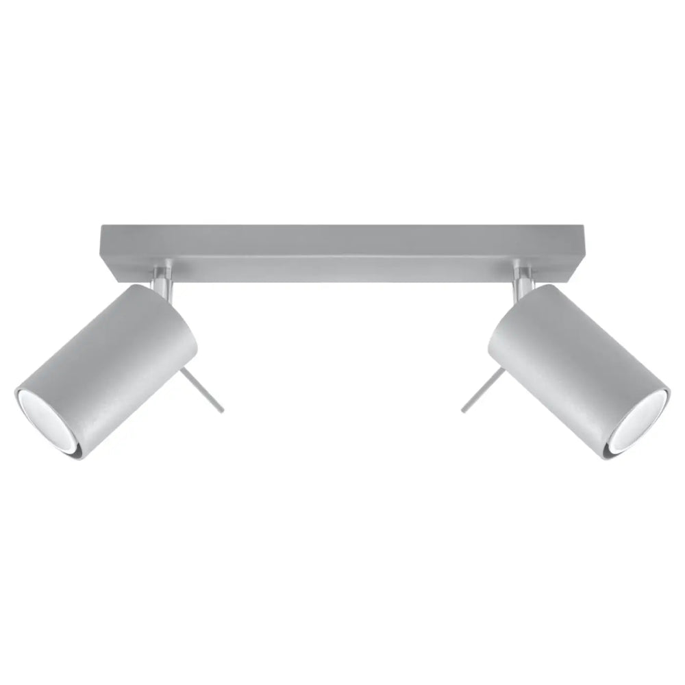 Luminaire plafonnier ring 2 gris avec double spot cylindrique ajustable que vous pouvez installer facilement