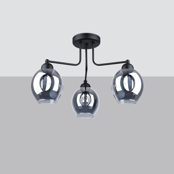 Lustre noir éteint