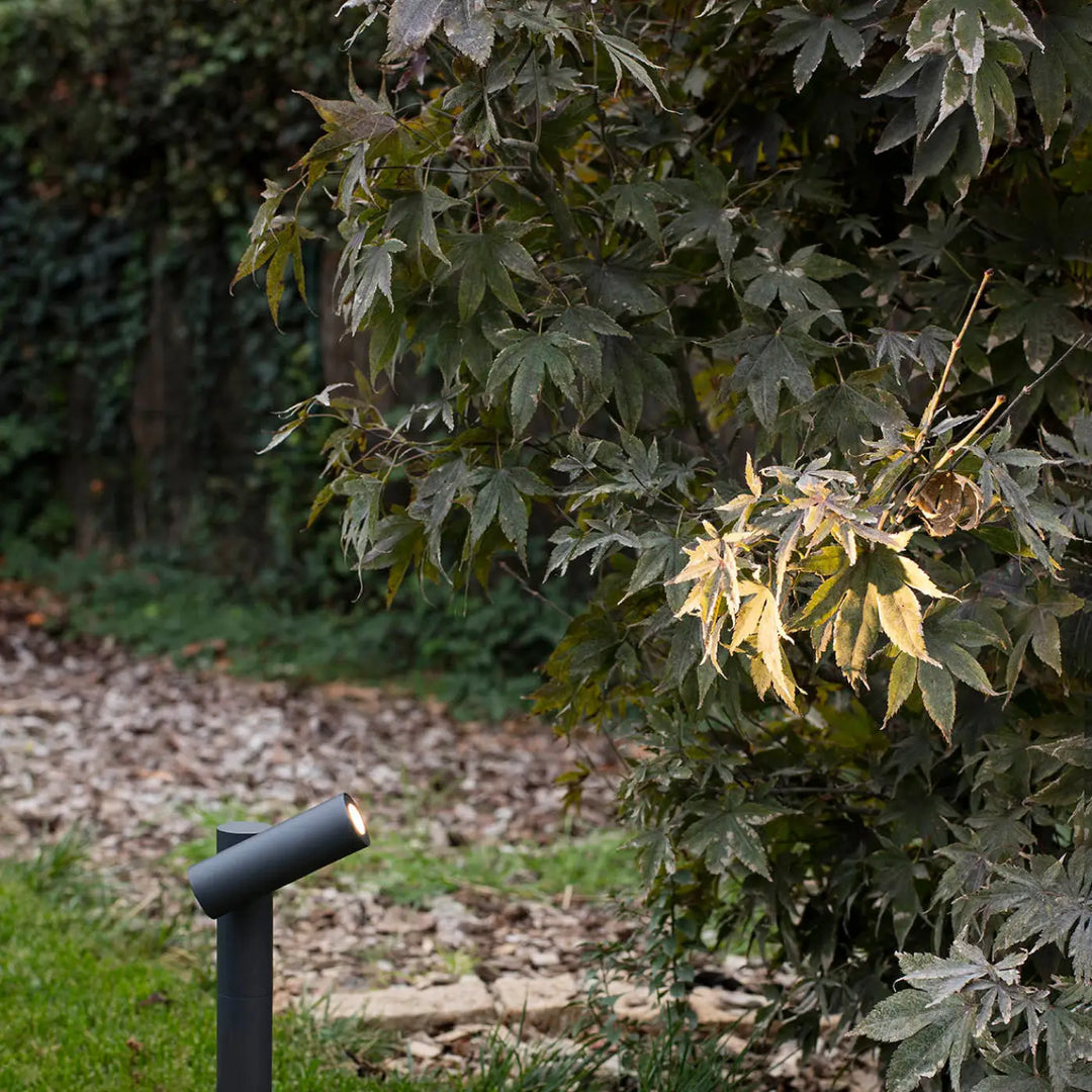 Piquet Spy 435 dans un jardin
