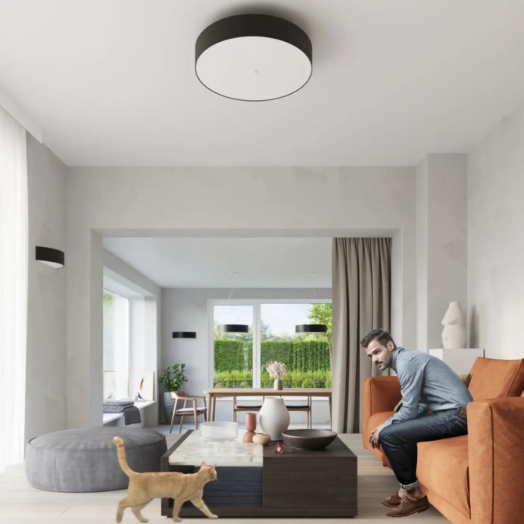 Luminaire plafonnier noir dans un salon
