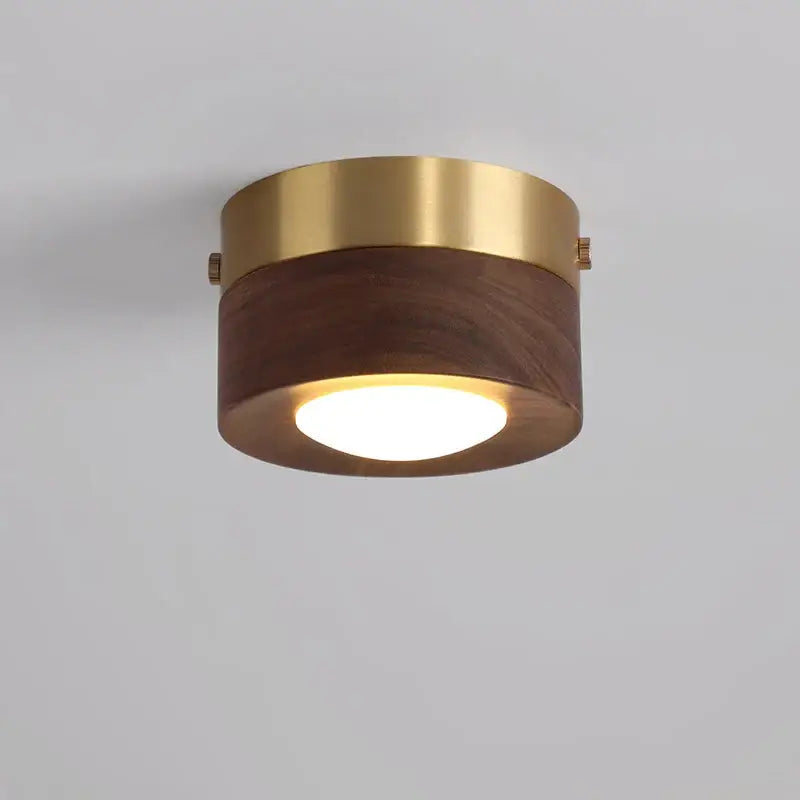 corridor lamp Walnut ceiling lights ash wood led lights for room living room Spotlights Porch light home decor lighting
