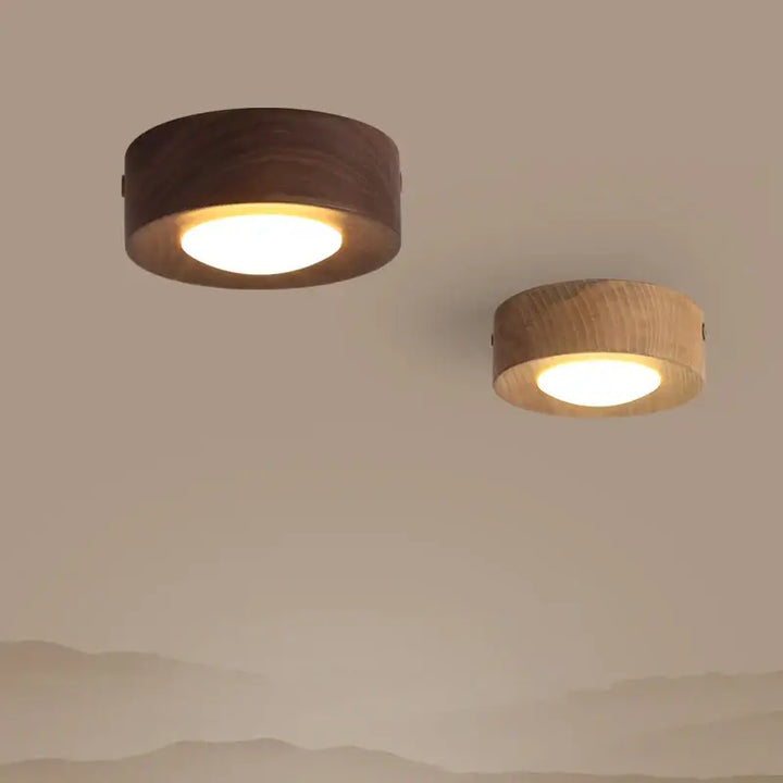 corridor lamp Walnut ceiling lights ash wood led lights for room living room Spotlights Porch light home decor lighting