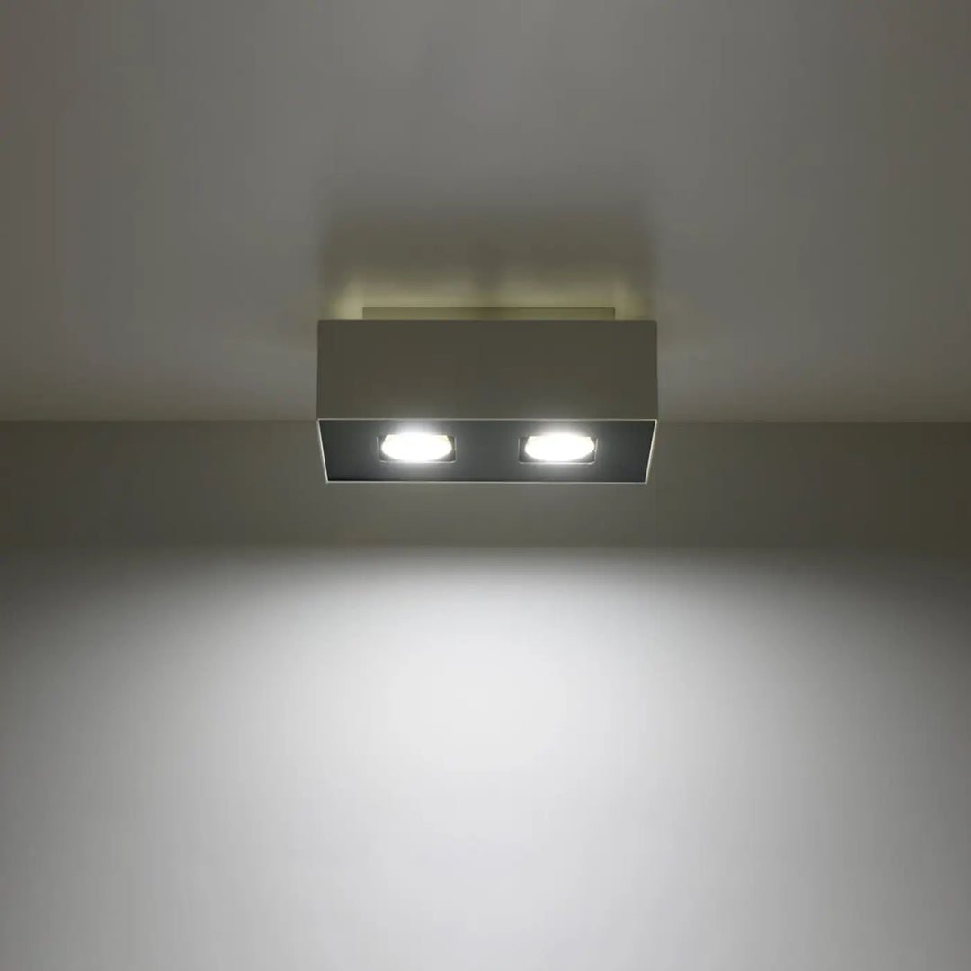 Luminaire plafonnier mono avec face inférieure en boîtier dacier et spots alignés à leds blanches brillantes