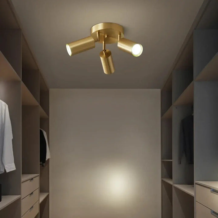 Postmodern Style Ceiling Lamp Spotlight Down Light Iron Gold 2/3/4Heads Aisle Corridor Store Lighting Adjustable