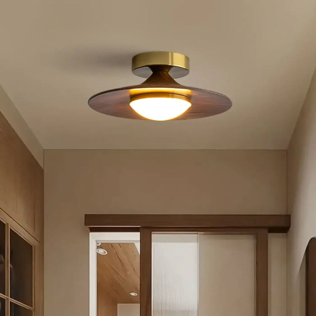 Plafonnier ambiance moderne haut de gamme marron élégant