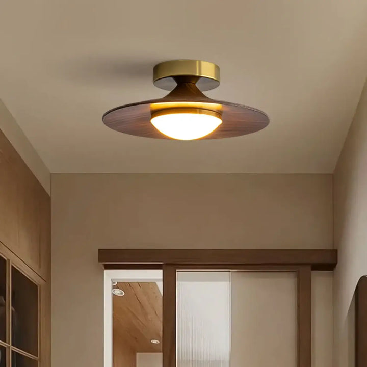 Plafonnier ambiance moderne haut de gamme marron élégant