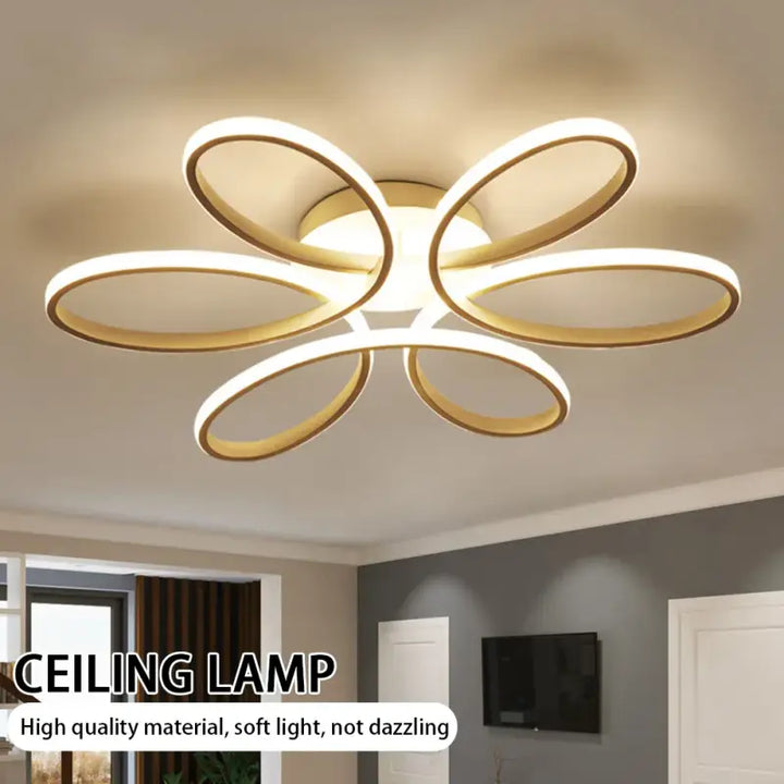 Plafonnier LED Design Moderne À Forme Florale Ovale 