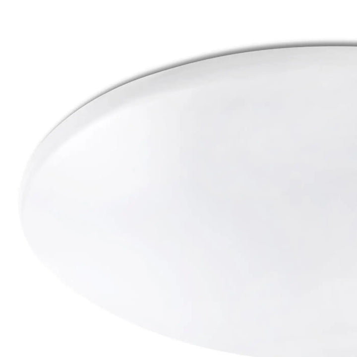 Détail : plafonnier Bic