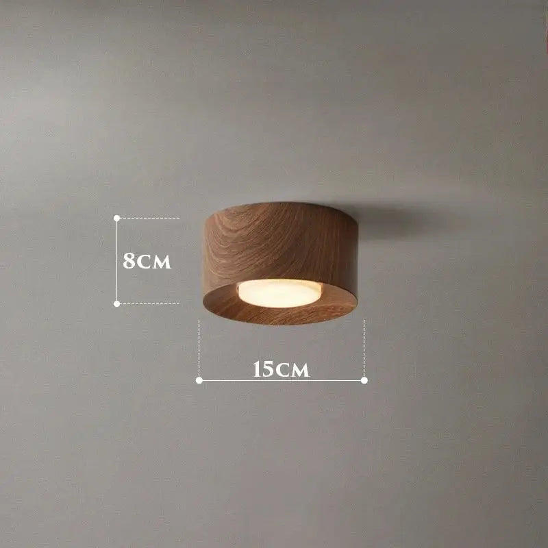 Plafonnier minimaliste avec éclairage led marron chic