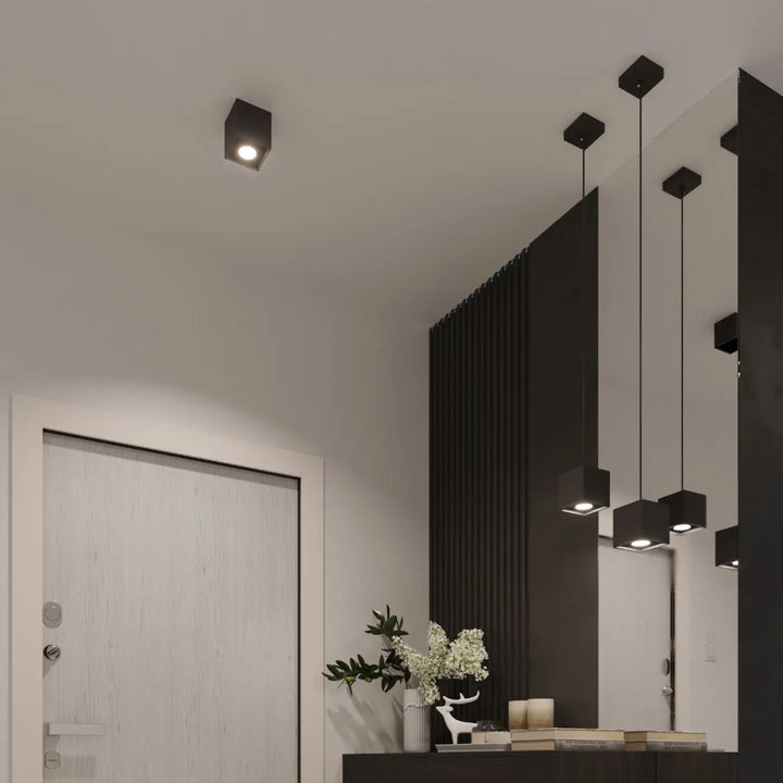 Luminaire Plafonnier noir dans un intérieur contemporain