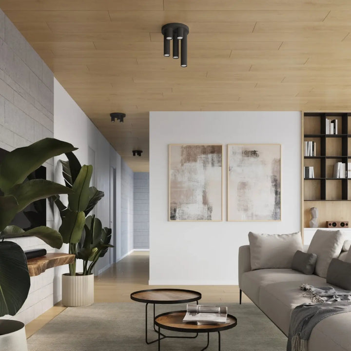 Luminaire Plafonnier noir dans un intérieur contemporain