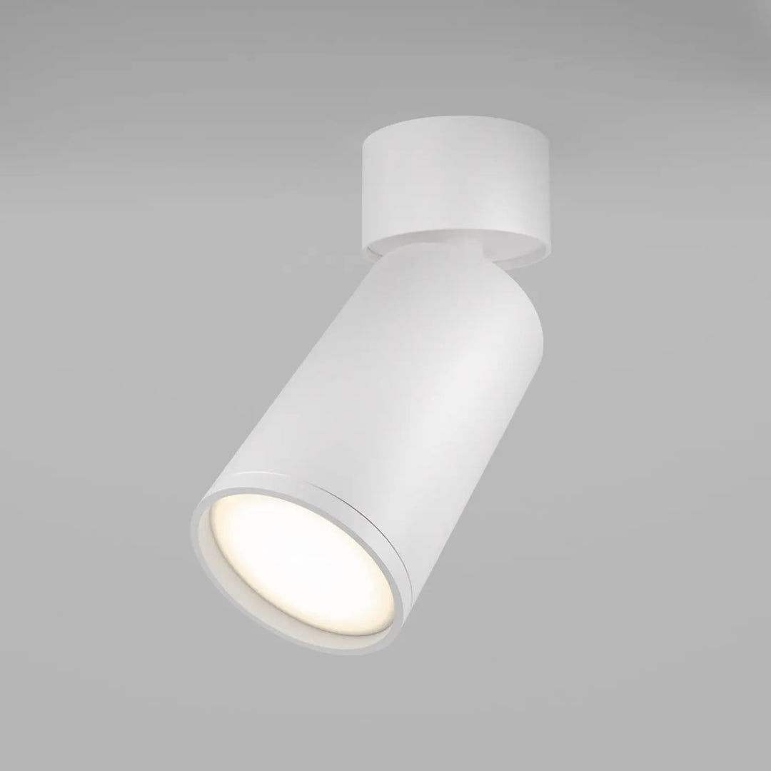 Spot focus orientable blanc cylindrique en finition mate avec tête ajustable pour éclairage ciblé intérieur