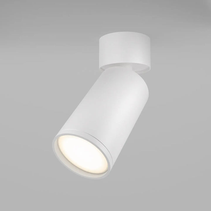 Spot focus orientable blanc cylindrique en finition mate avec tête ajustable pour éclairage ciblé intérieur