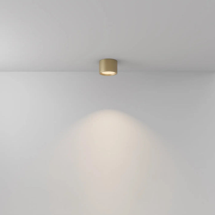 Spot hydra led en laiton cylindre avec indice ip44 offrant une lumière douce pour plafond en saillie