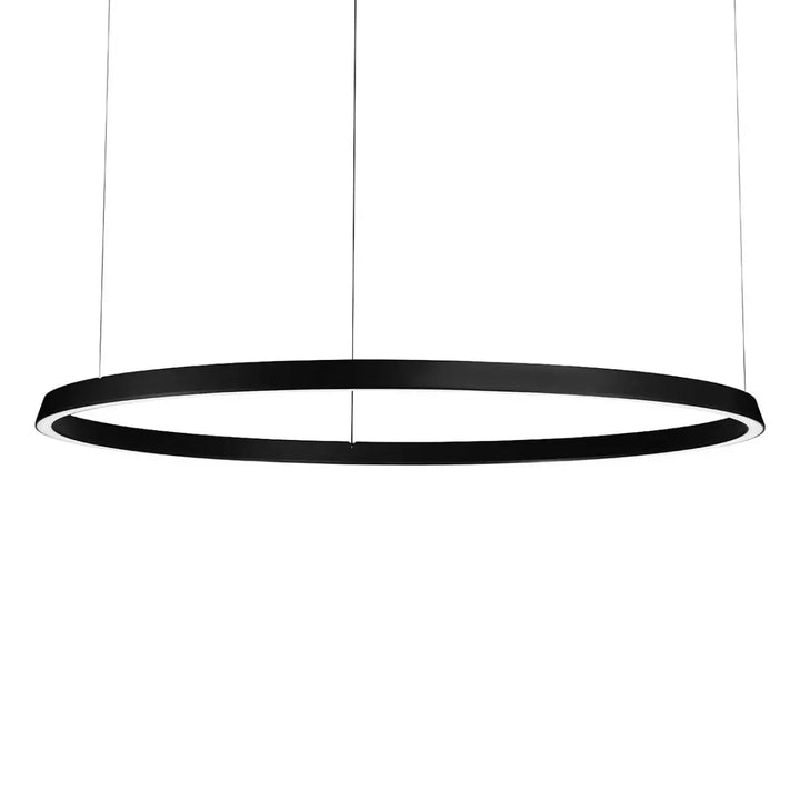 Vue d'ensemble de la suspension Circular en aluminium noir #couleur_noir