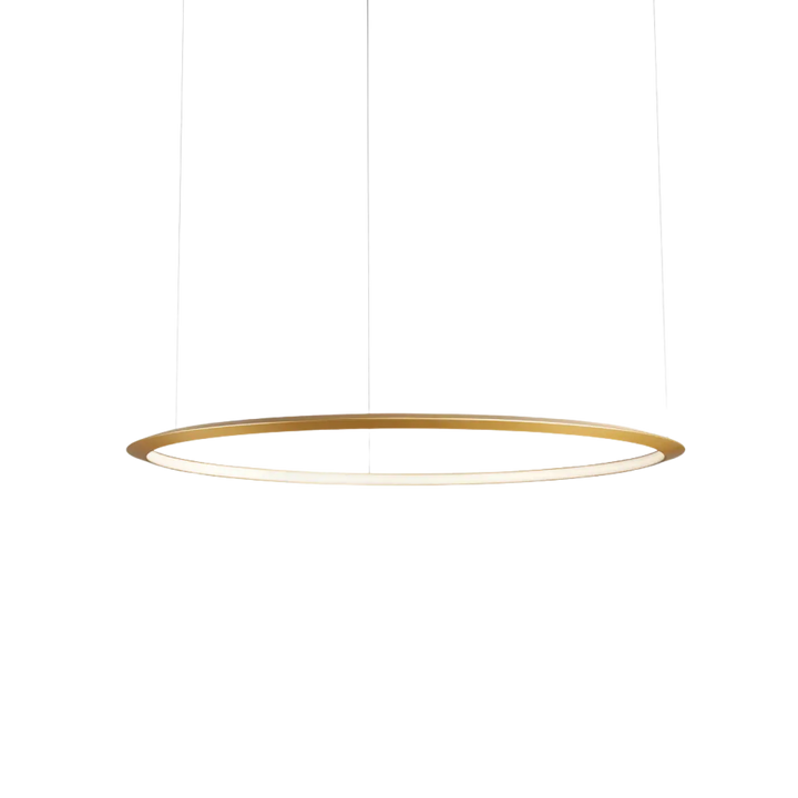 Suspension Circular anneau LED en aluminium