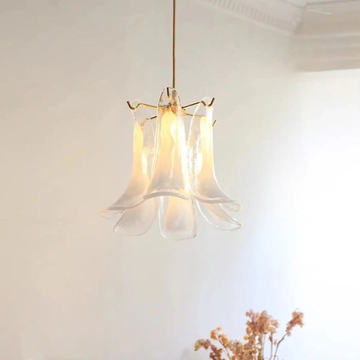 Suspension Luminaire | NYMO