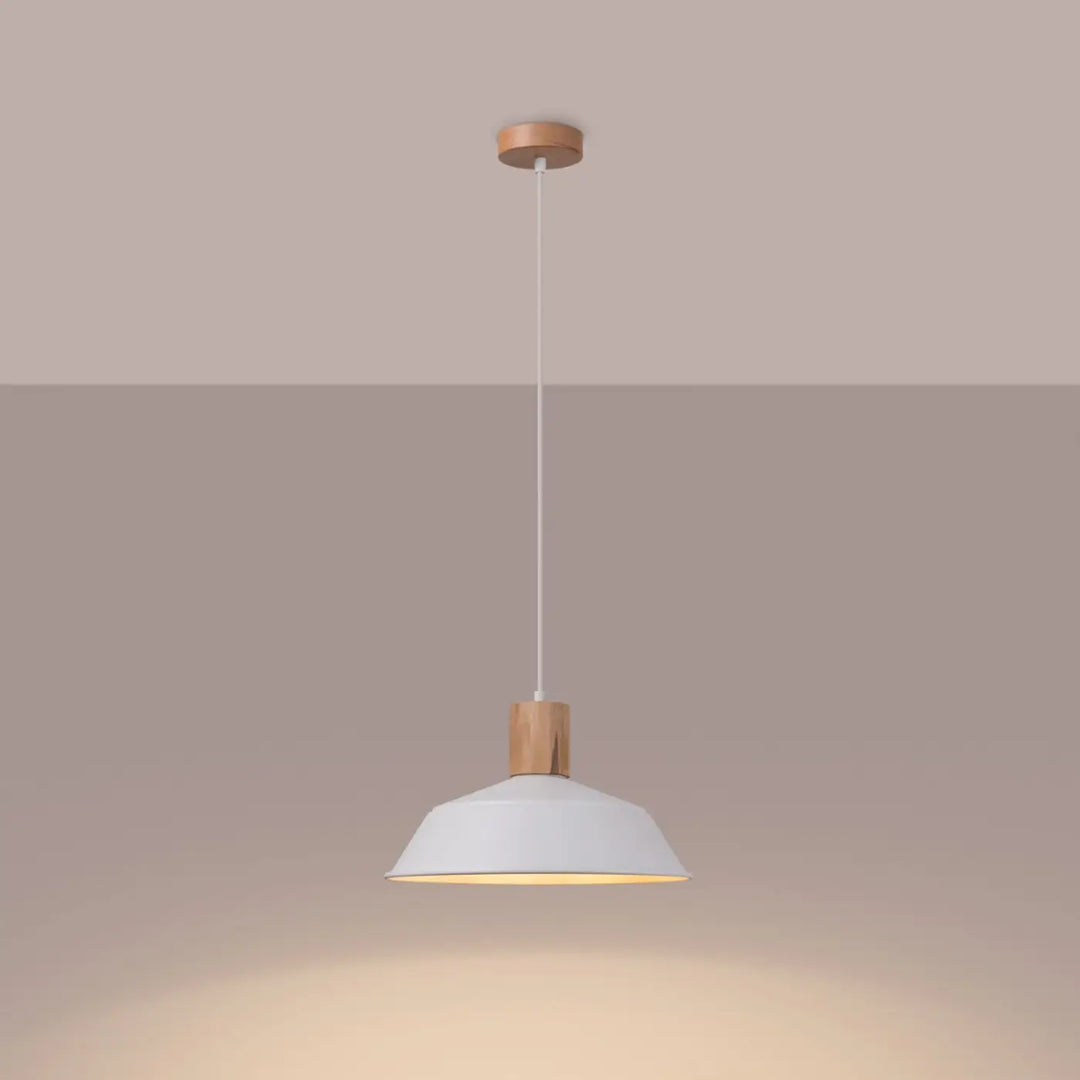 Suspension Fano à dôme en acier blanc et coiffe en bois, allumée