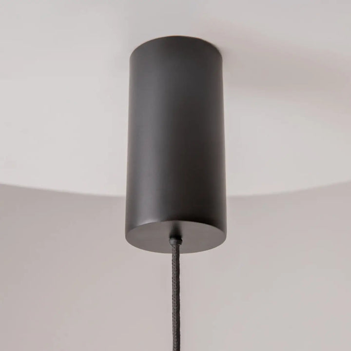 Suspension luminaire shadows of the past en tube lumineux noir mat avec cordon suspendu pour éclairage intérieur