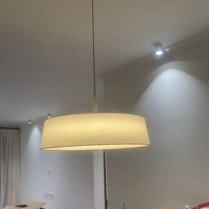 Suspension luminaire moderne minimaliste à lumière douce