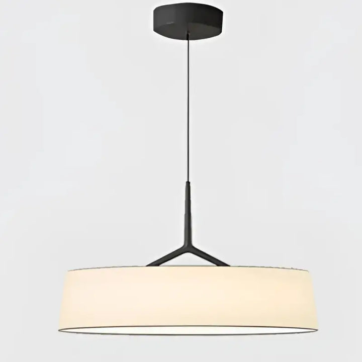Suspension luminaire moderne minimaliste à lumière douce