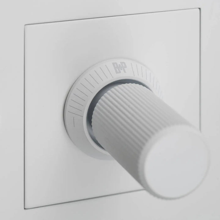 Détail du variateur Dimmer à gravure alignée blanc #couleur_blanc