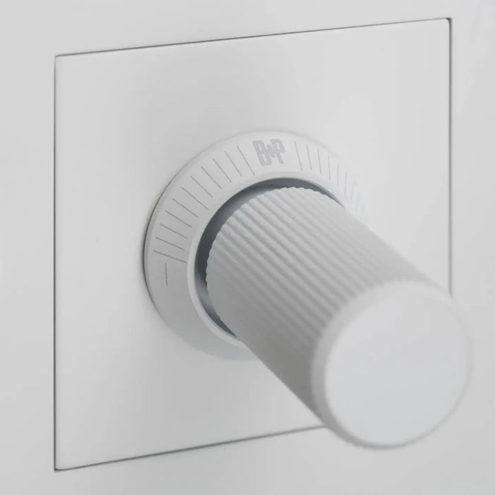 Détail du variateur Dimmer à gravure alignée blanc #couleur_blanc